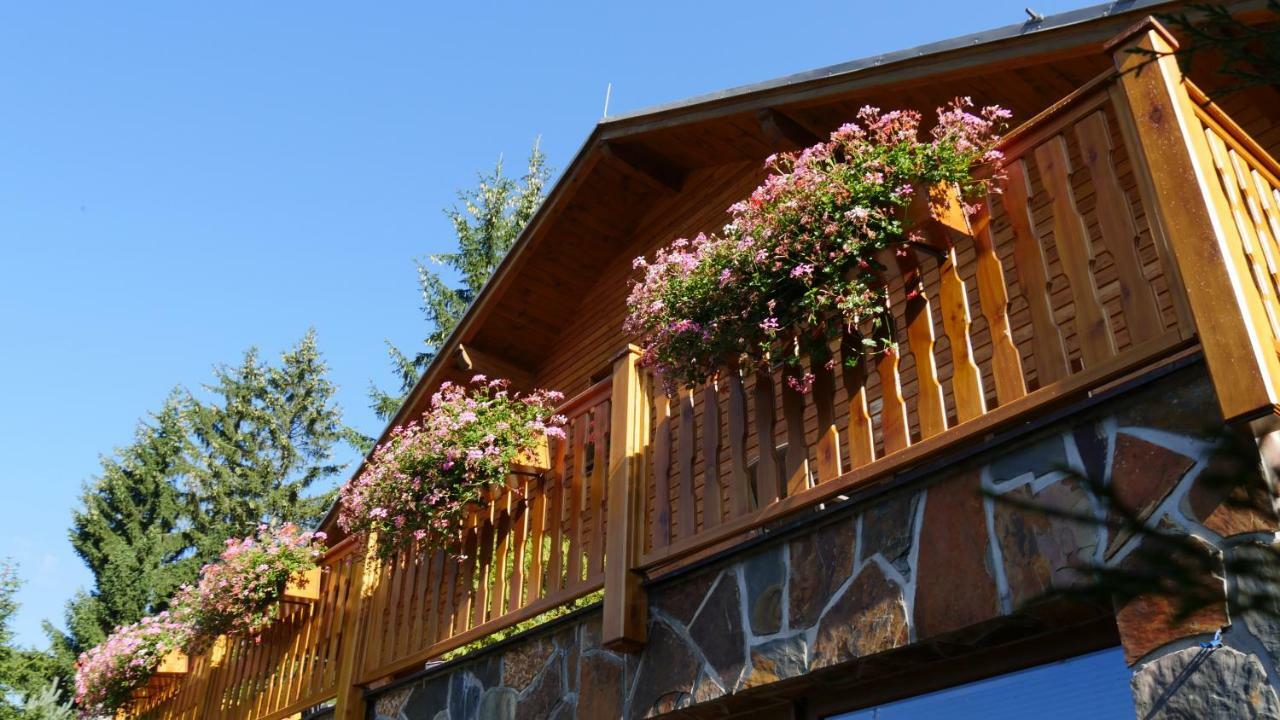 Pension Aspen ฮาร์ราคอฟ ภายนอก รูปภาพ